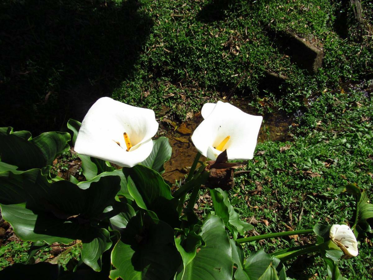 Pousada Cruzeiro Do Sul Itatiaia  Eksteriør billede